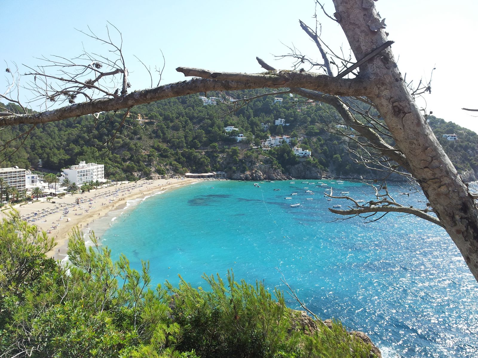 cala san vicente, ibiza